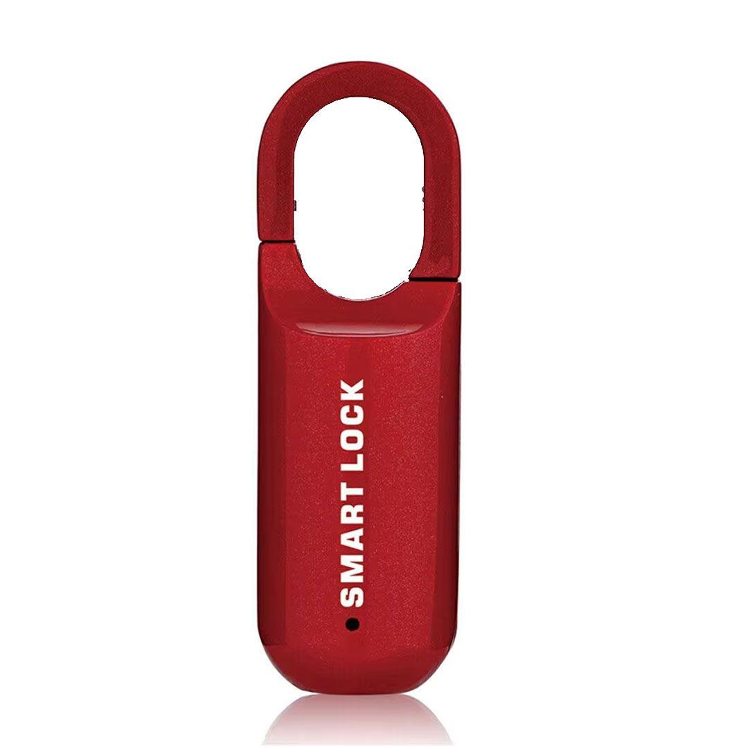 Smart Fingerprint Electronic Lock  