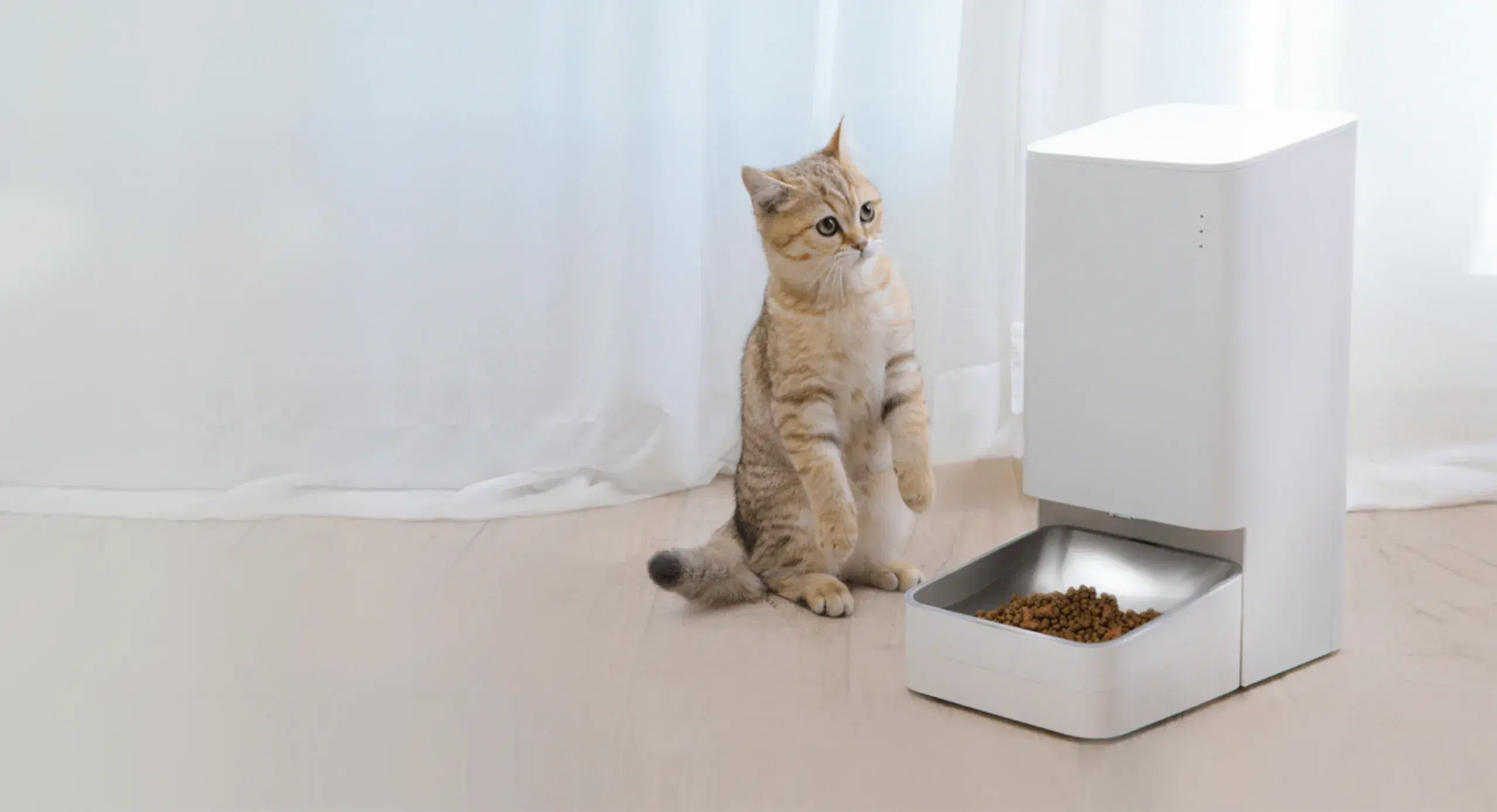 Xiaomi Smart Pet Food Feeder Automated, Precise Feeding